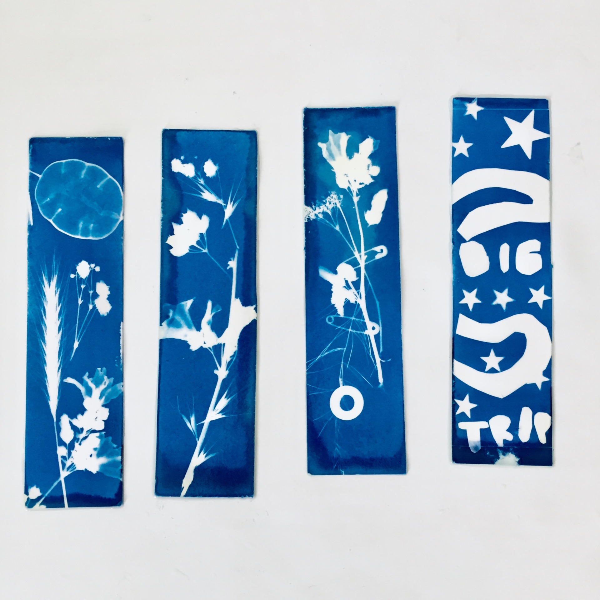 Atelier de la photographie historique : cyanotypes